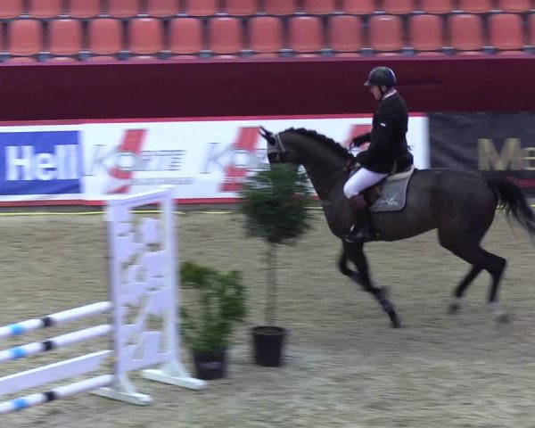Reitturnier Neustadt/Dosse - Lindenau-Halle 2020