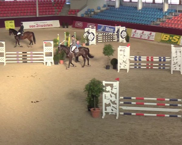 Reitturnier Neustadt/Dosse - Lindenau-Halle 2020