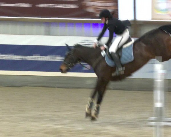 Nordic Jumping events 2020