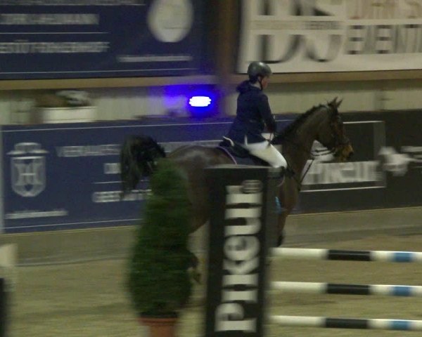 Nordic Jumping events 2020