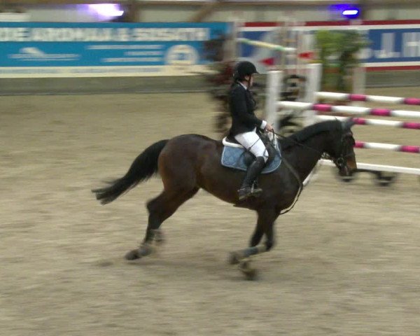 Nordic Jumping events 2020