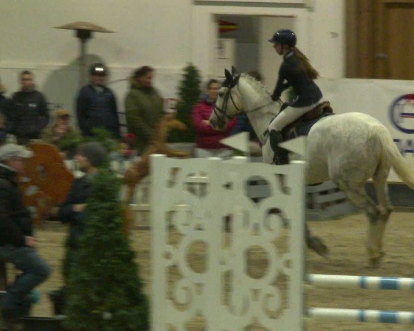 Nordic Jumping events 2020