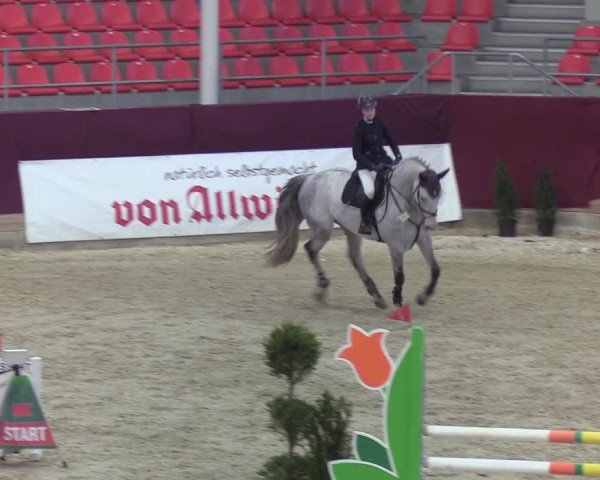 Reitturnier Neustadt/Dosse - Lindenau-Halle 2020