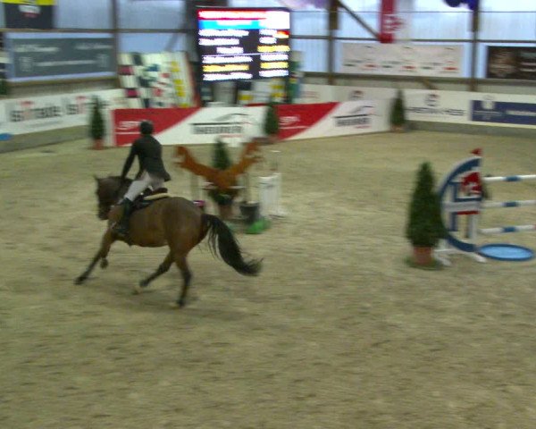 Nordic Jumping events 2020
