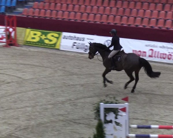 Reitturnier Neustadt/Dosse - Lindenau-Halle 2020