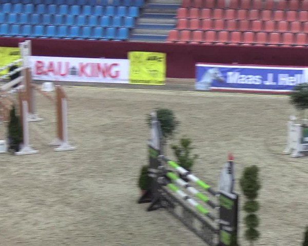 Reitturnier Neustadt/Dosse - Lindenau-Halle 2020