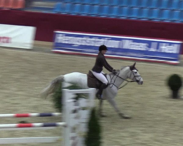 Reitturnier Neustadt/Dosse - Lindenau-Halle 2020