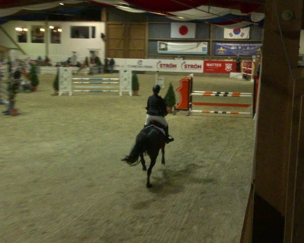 Nordic Jumping events 2020
