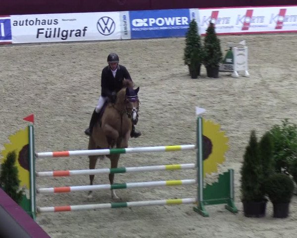 Reitturnier Neustadt/Dosse - Lindenau-Halle 2020