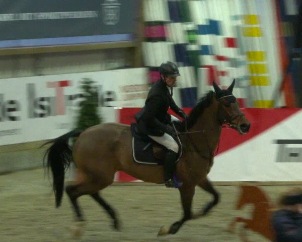 Nordic Jumping events 2020