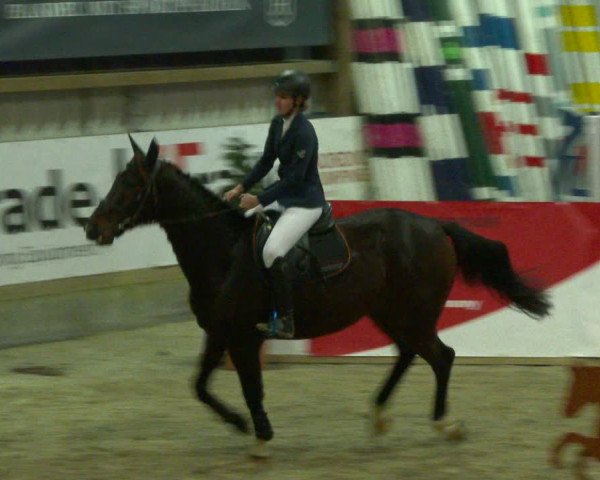 Nordic Jumping events 2020