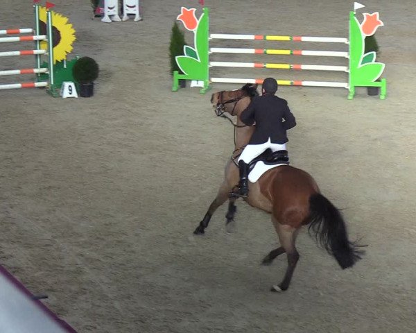 Reitturnier Neustadt/Dosse - Lindenau-Halle 2020