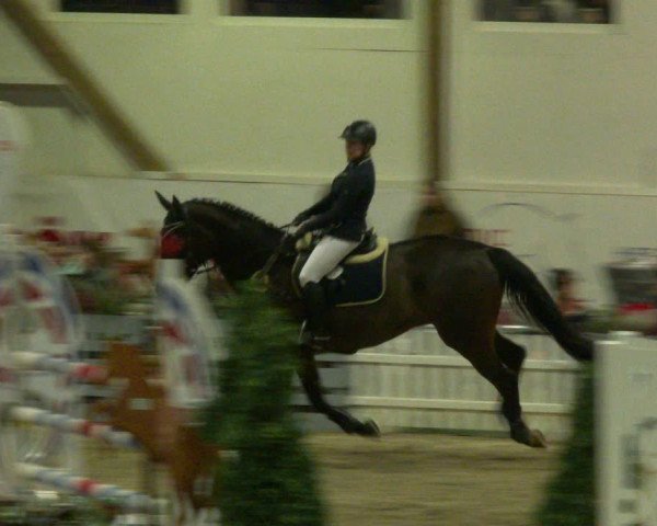 Nordic Jumping events 2020