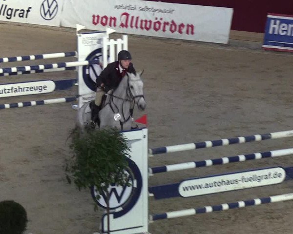 Reitturnier Neustadt/Dosse - Lindenau-Halle 2020