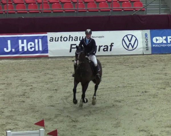 Reitturnier Neustadt/Dosse - Lindenau-Halle 2020
