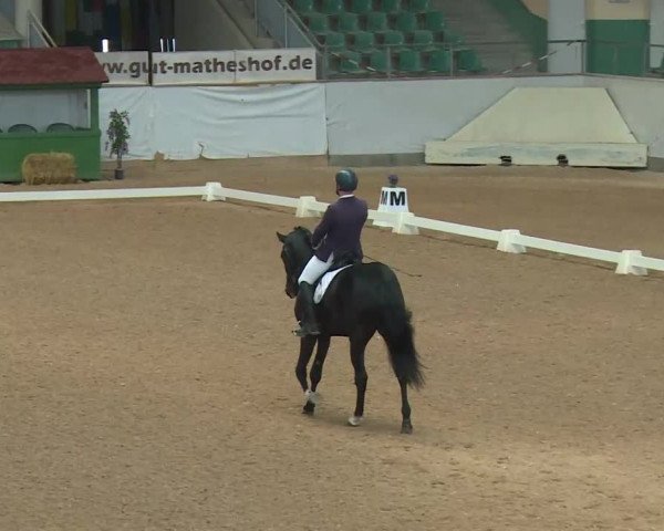 Reitturnier Kreuth/Opf. 2020