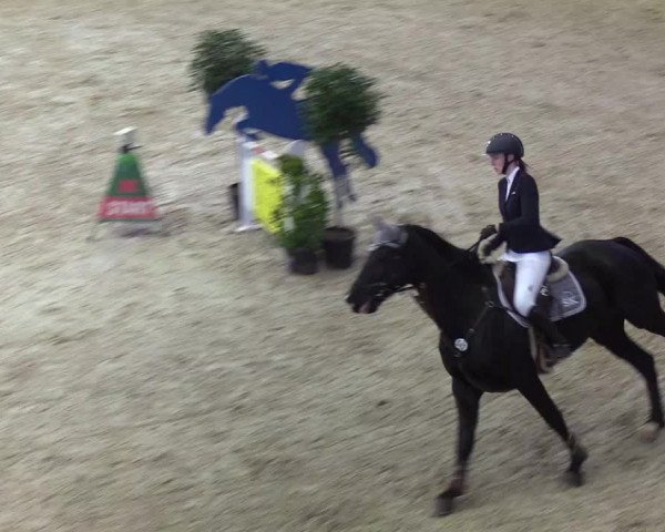 Reitturnier Neustadt/Dosse - Lindenau-Halle 2020