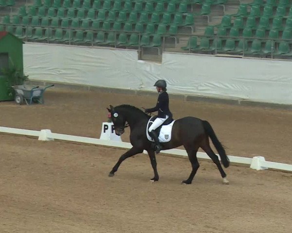 Reitturnier Kreuth/Opf. 2020