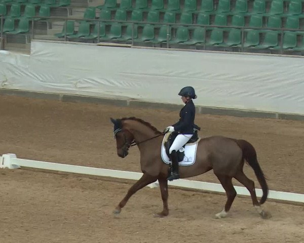 Reitturnier Kreuth/Opf. 2020