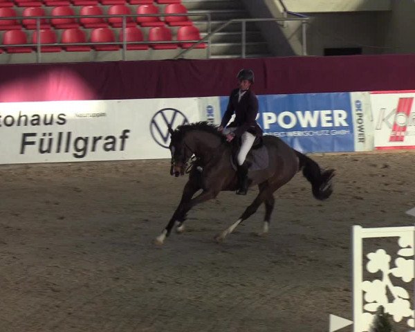Reitturnier Neustadt/Dosse - Lindenau-Halle 2020