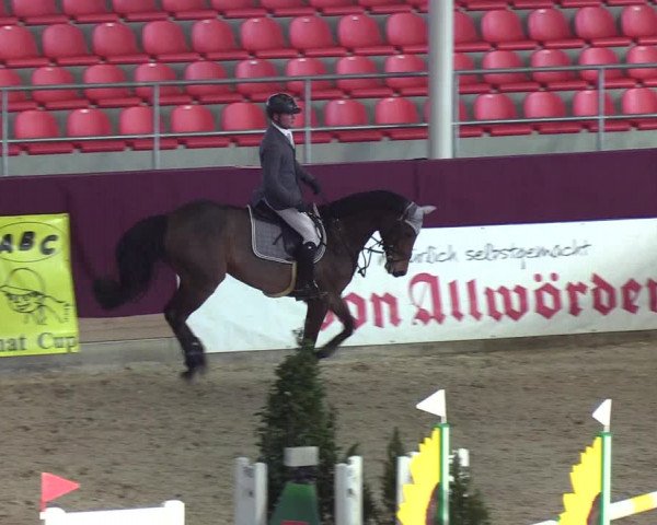 Reitturnier Neustadt/Dosse - Lindenau-Halle 2020