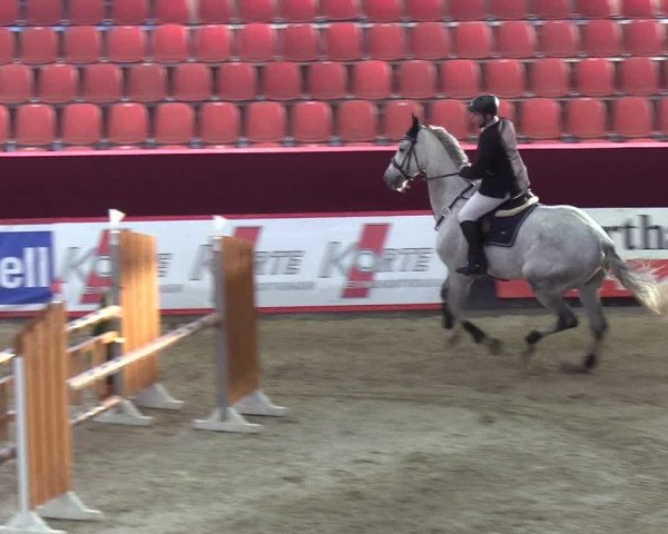 Reitturnier Neustadt/Dosse - Lindenau-Halle 2020