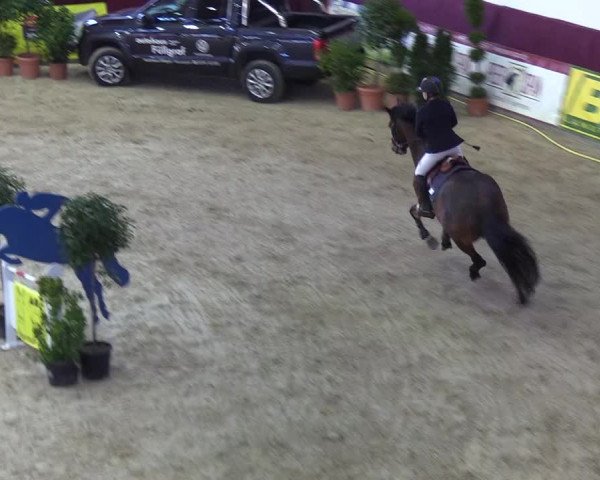 Reitturnier Neustadt/Dosse - Lindenau-Halle 2020