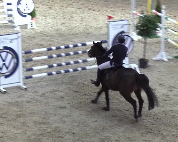 Reitturnier Neustadt/Dosse - Lindenau-Halle 2020