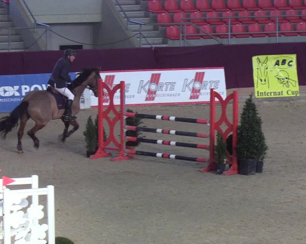 Reitturnier Neustadt/Dosse - Lindenau-Halle 2020