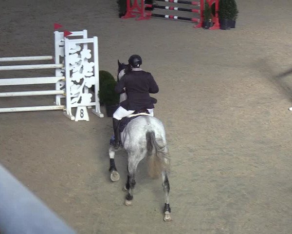Reitturnier Neustadt/Dosse - Lindenau-Halle 2020