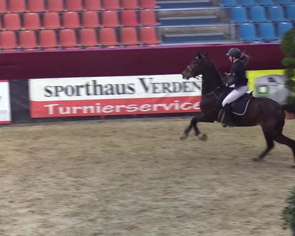 Reitturnier Neustadt/Dosse - Lindenau-Halle 2020