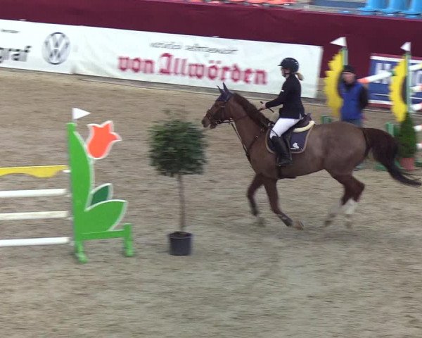 Reitturnier Neustadt/Dosse - Lindenau-Halle 2020