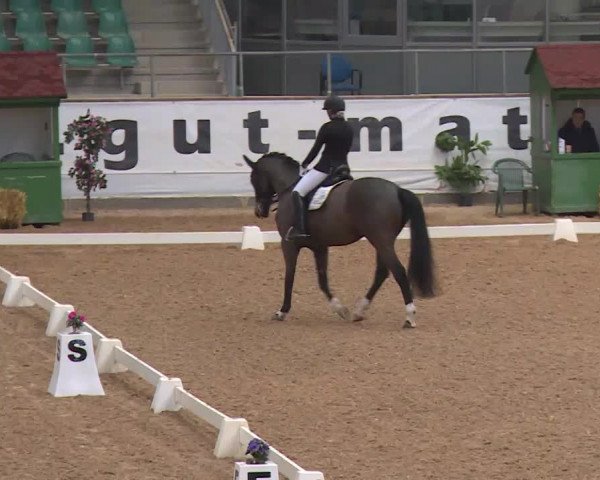 Reitturnier Kreuth/Opf. 2020