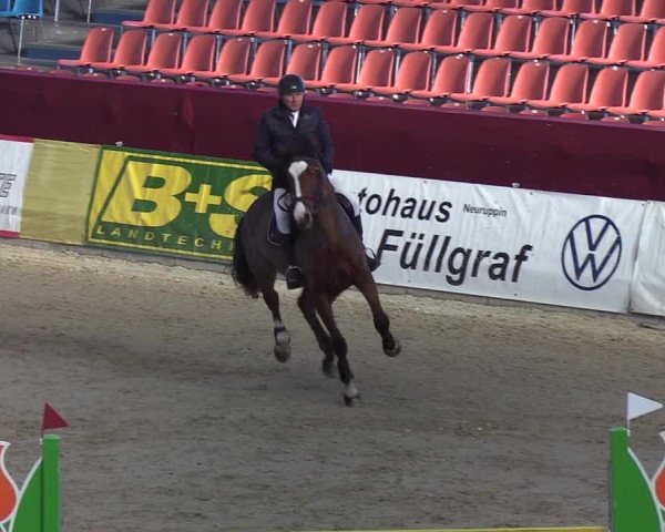 Reitturnier Neustadt/Dosse - Lindenau-Halle 2020