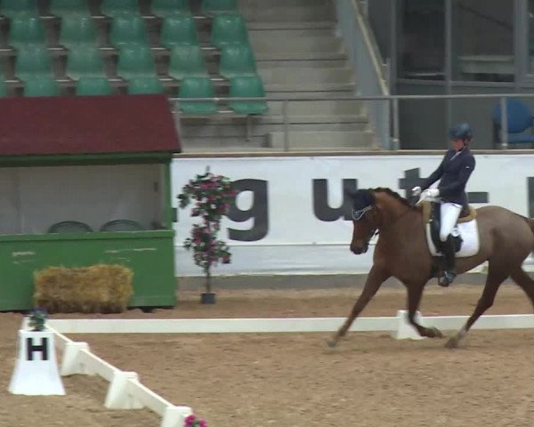 Reitturnier Kreuth/Opf. 2020