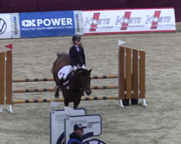 Reitturnier Neustadt/Dosse - Lindenau-Halle 2020