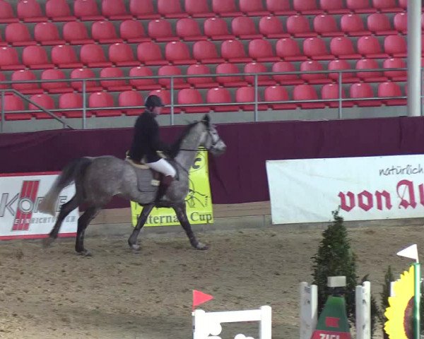 Reitturnier Neustadt/Dosse - Lindenau-Halle 2020
