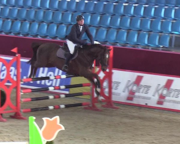 Reitturnier Neustadt/Dosse - Lindenau-Halle 2020