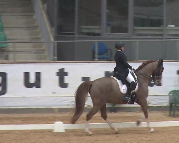 Reitturnier Kreuth/Opf. 2020
