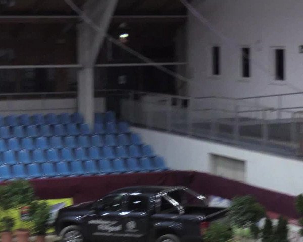 Reitturnier Neustadt/Dosse - Lindenau-Halle 2020