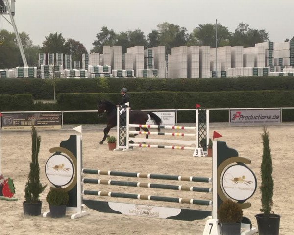 Reitturnier Durmersheim-Hardt 2021
