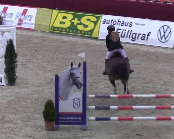 Reitturnier Neustadt/Dosse - Lindenau-Halle 2020