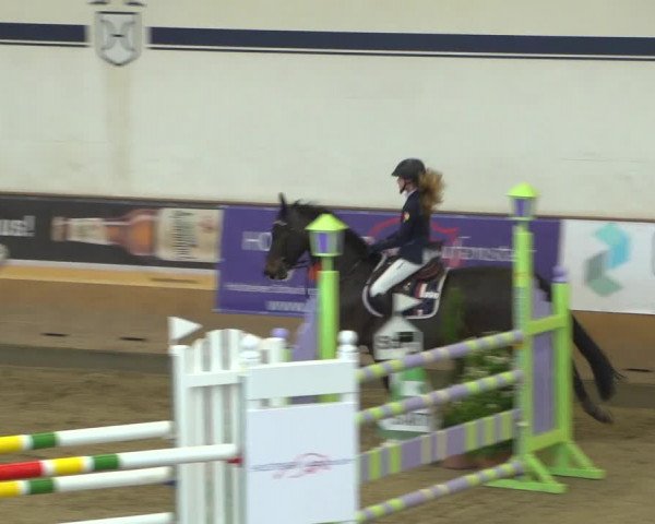 Reitturnier Elmshorn 2020