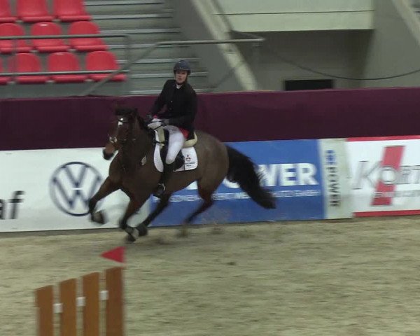 Reitturnier Neustadt/Dosse - Lindenau-Halle 2020