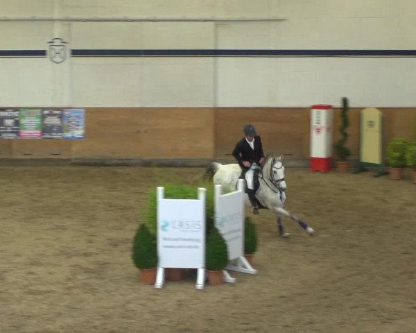 Reitturnier Elmshorn 2020