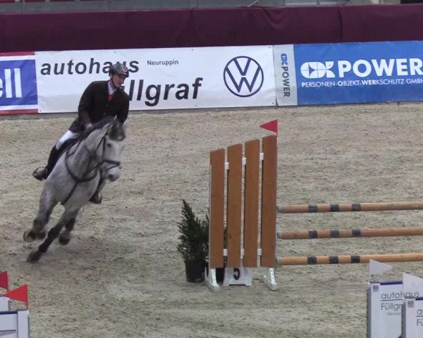 Reitturnier Neustadt/Dosse - Lindenau-Halle 2020