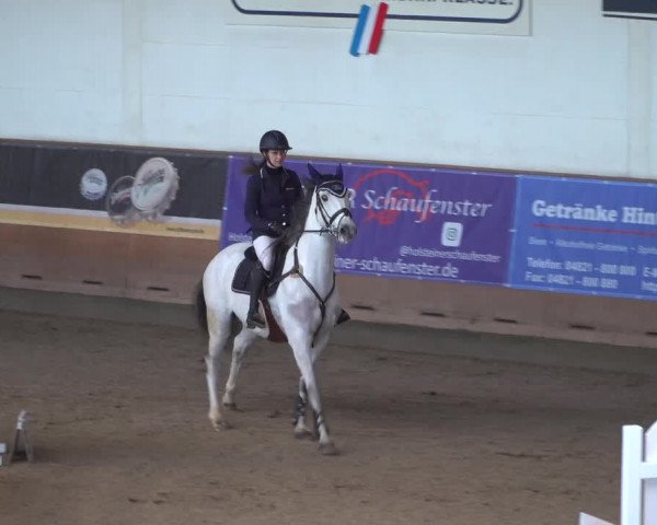 Reitturnier Elmshorn 2020