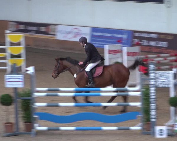 Reitturnier Elmshorn 2020