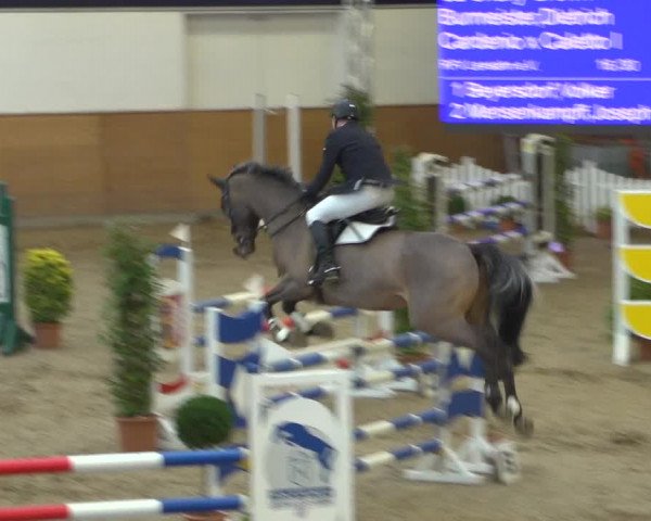 Reitturnier Elmshorn 2020