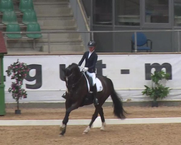 Reitturnier Kreuth/Opf. 2020